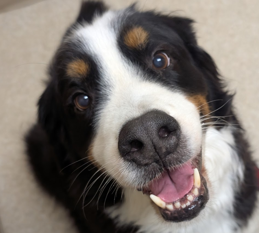 Murphy